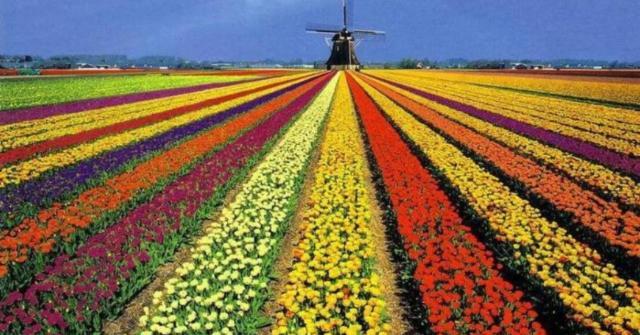 Bungalow between Haarlem&Amsterdam Vijfhuizen Bagian luar foto